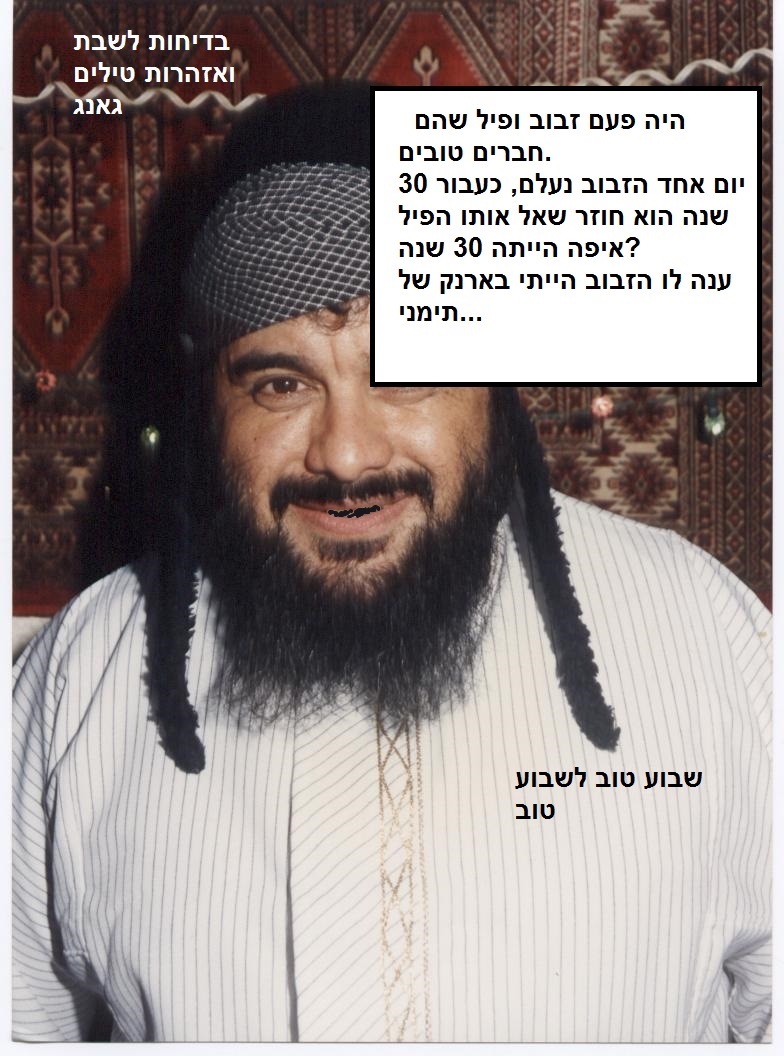 תמונה זבוב ופיל חשוב מאוד תמונת המאה1.jpg